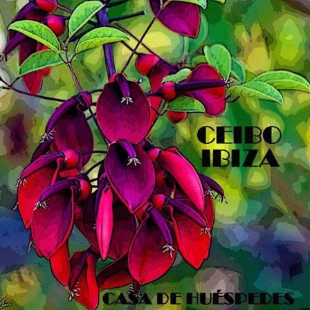 Ceibo - Hostal *